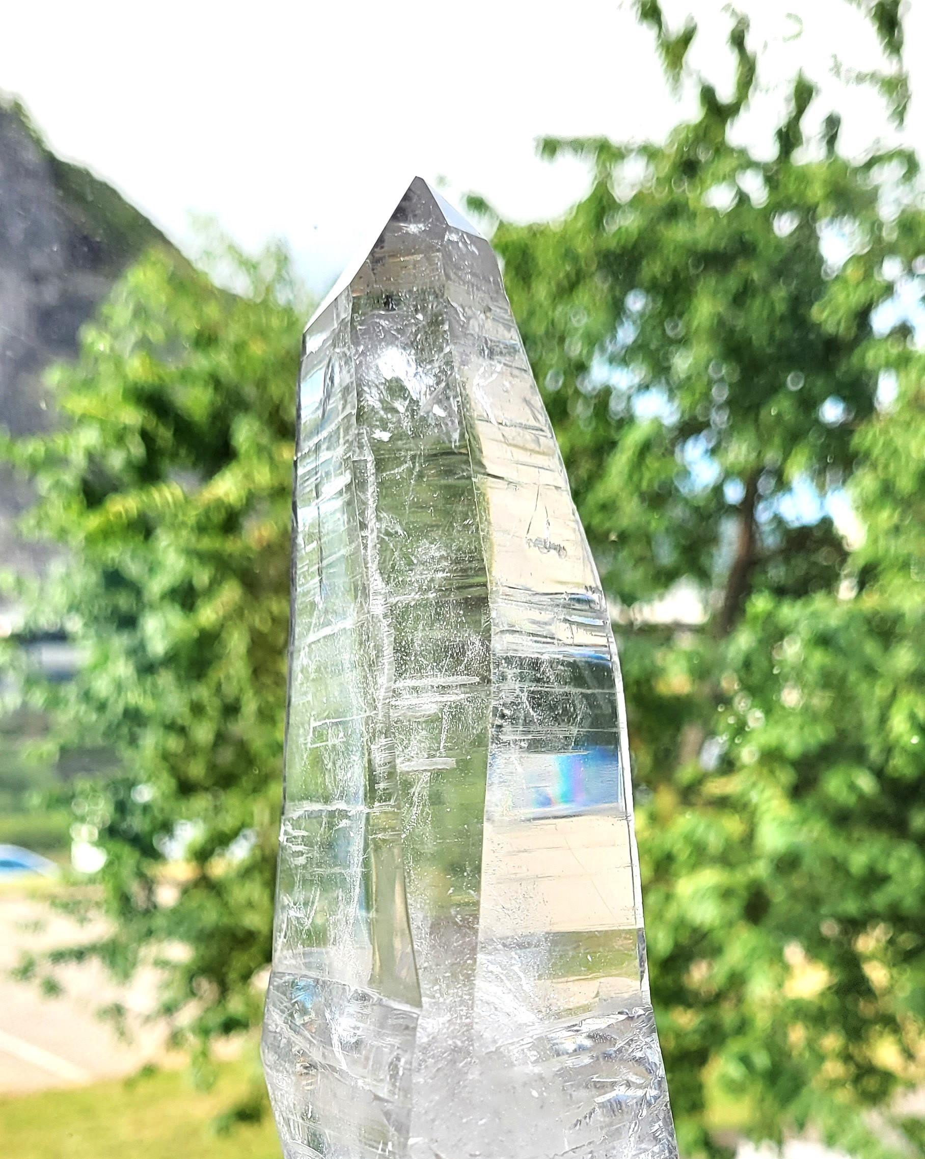 Velký lemurský krystal ve svislé poloze na okně, v pozadí zelený strom.
